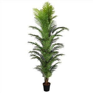 Yapay Palmiye Bitkileri