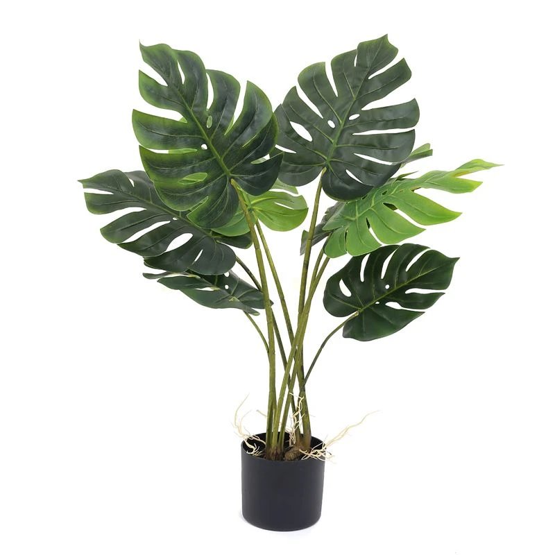 Simüle edilmiş bir monstera ağacının avantajları nelerdir?