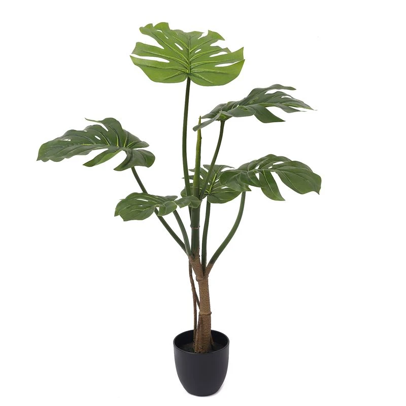 Simüle edilmiş monstera ağacı nerede uygulanır?