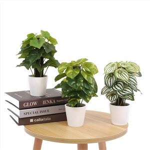 Yapay Mini Bonsai Ağacı